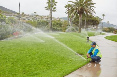 Commercial Landscape Irrigation Damage