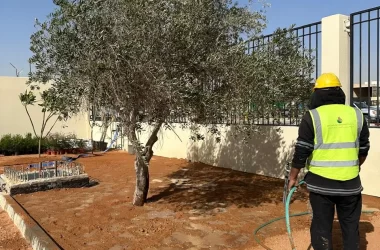 Operation & Maintenance